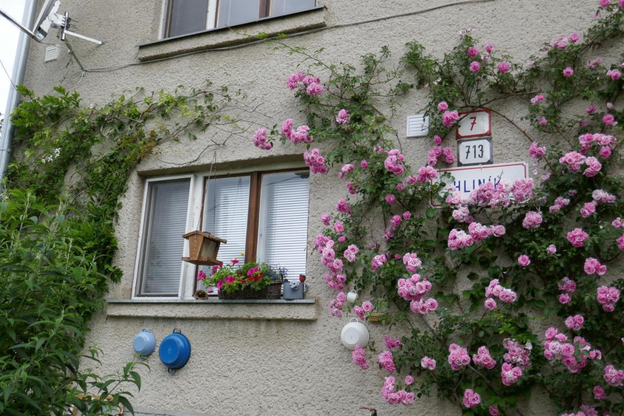 Apartment At Sedliacky Dvor - Breznóbánya Kültér fotó